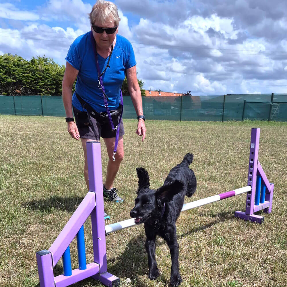 Book your session at High Hounds - Image 4